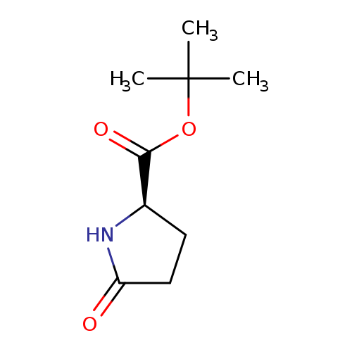 O=C([C@H]1CCC(=O)N1)OC(C)(C)C