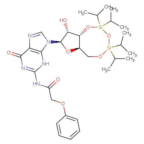 O=C(Nc1nc(=O)c2c([nH]1)n(cn2)[C@@H]1O[C@H]2[C@H]([C@H]1O)O[Si](O[Si](OC2)(C(C)C)C(C)C)(C(C)C)C(C)C)COc1ccccc1