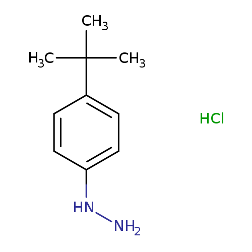 NNc1ccc(cc1)C(C)(C)C.Cl