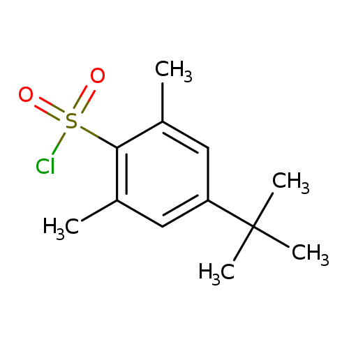 Cc1cc(cc(c1S(=O)(=O)Cl)C)C(C)(C)C