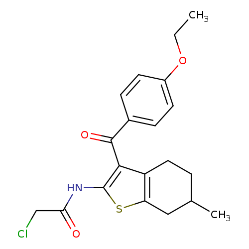 CCOc1ccc(cc1)C(=O)c1c(NC(=O)CCl)sc2c1CCC(C2)C