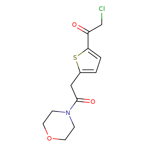 ClCC(=O)c1ccc(s1)CC(=O)N1CCOCC1