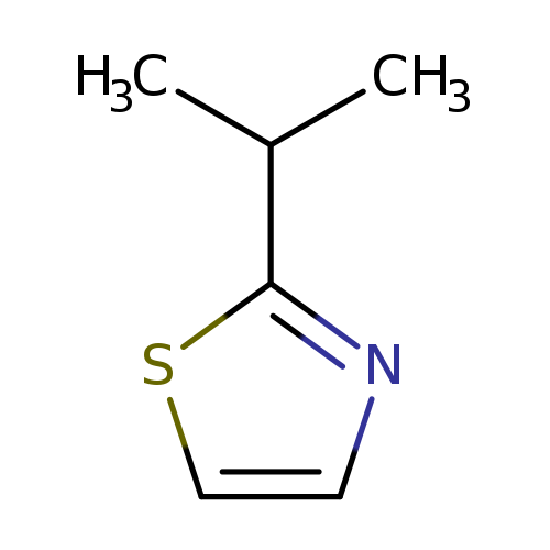 CC(c1nccs1)C
