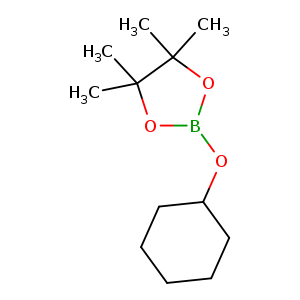 CC1(C)OB(OC1(C)C)OC1CCCCC1