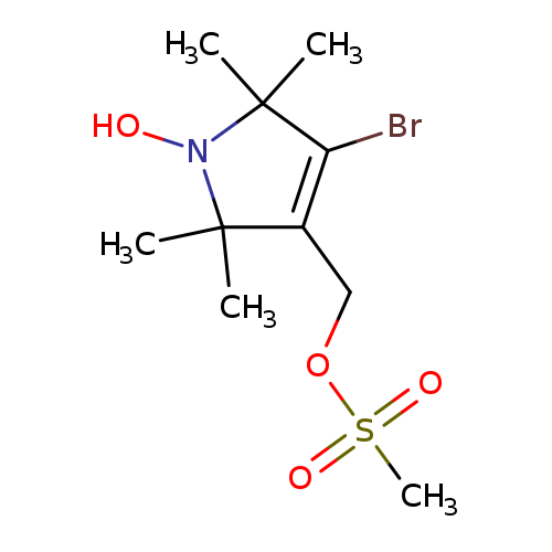 BrC1=C(COS(=O)(=O)C)C(N(C1(C)C)O)(C)C