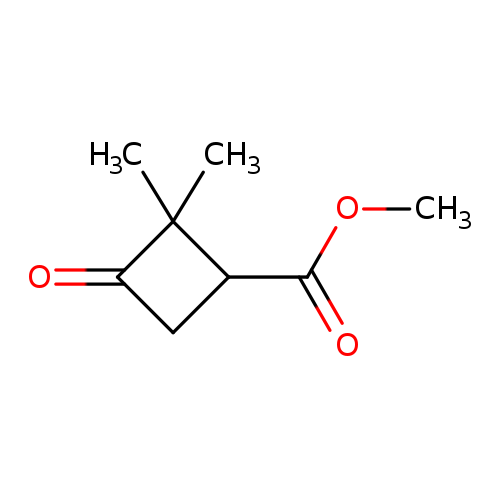 COC(=O)C1CC(=O)C1(C)C