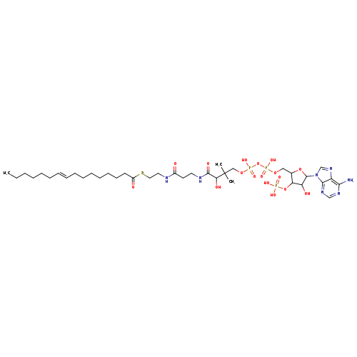 CCCCCC/C=C/CCCCCCCC(=O)SCCNC(=O)CCNC(=O)C(C(COP(=O)(OP(=O)(OCC1OC(C(C1OP(=O)(O)O)O)n1cnc2c1ncnc2N)O)O)(C)C)O