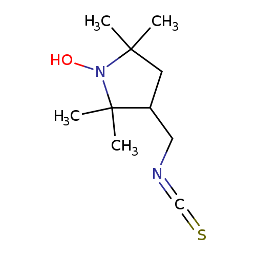 ON1C(C)(C)CC(C1(C)C)CN=C=S