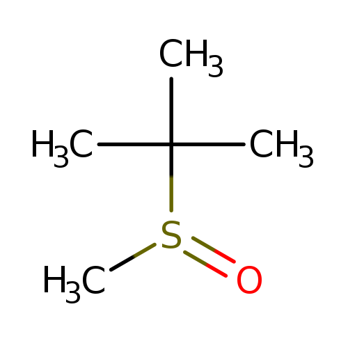 CS(=O)C(C)(C)C