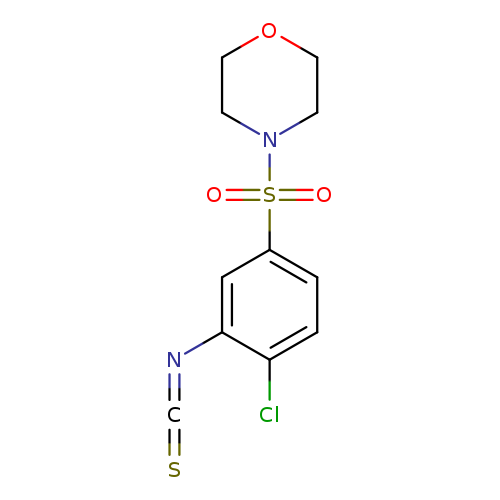 S=C=Nc1cc(ccc1Cl)S(=O)(=O)N1CCOCC1