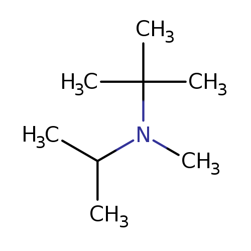 CC(N(C(C)(C)C)C)C