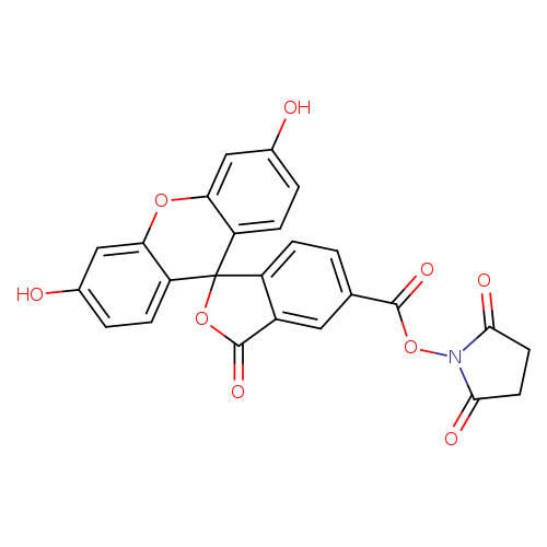 Oc1ccc2c(c1)Oc1c(C32OC(=O)c2c3ccc(c2)C(=O)ON2C(=O)CCC2=O)ccc(c1)O