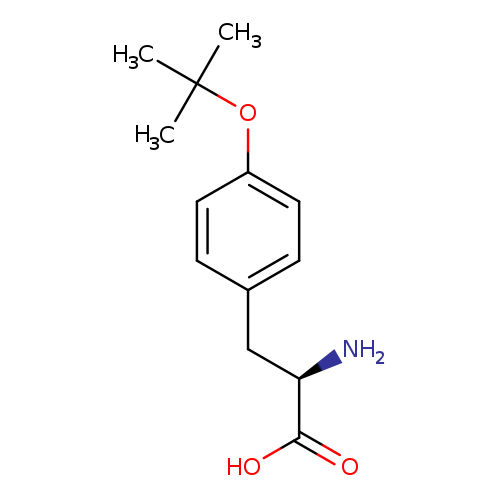N[C@@H](C(=O)O)Cc1ccc(cc1)OC(C)(C)C
