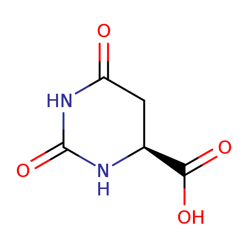 O=C1NC(=O)N[C@@H](C1)C(=O)O