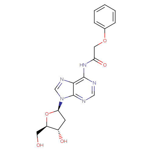 OC[C@H]1O[C@H](C[C@@H]1O)n1cnc2c1ncnc2NC(=O)COc1ccccc1