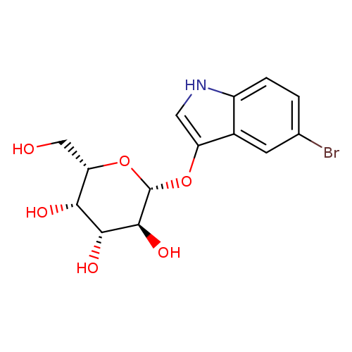 OC[C@@H]1O[C@H](Oc2c[nH]c3c2cc(Br)cc3)[C@H]([C@@H]([C@@H]1O)O)O