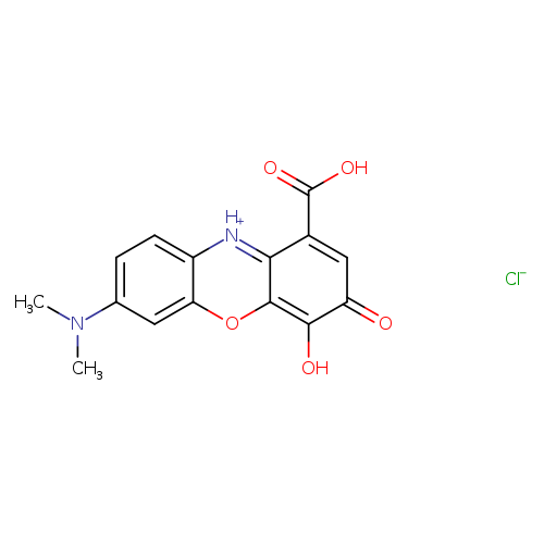 O=c1cc(C(=O)O)c2c(c1O)oc1c([nH+]2)ccc(c1)N(C)C.[Cl-]