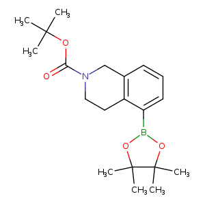 O=C(N1CCc2c(C1)cccc2B1OC(C(O1)(C)C)(C)C)OC(C)(C)C