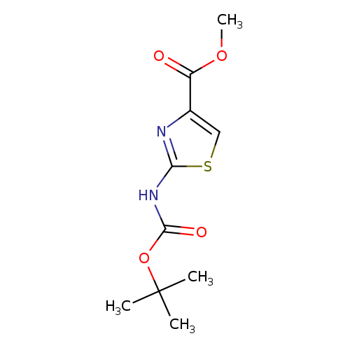 COC(=O)c1csc(n1)NC(=O)OC(C)(C)C