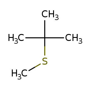 CSC(C)(C)C
