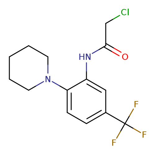ClCC(=O)Nc1cc(ccc1N1CCCCC1)C(F)(F)F