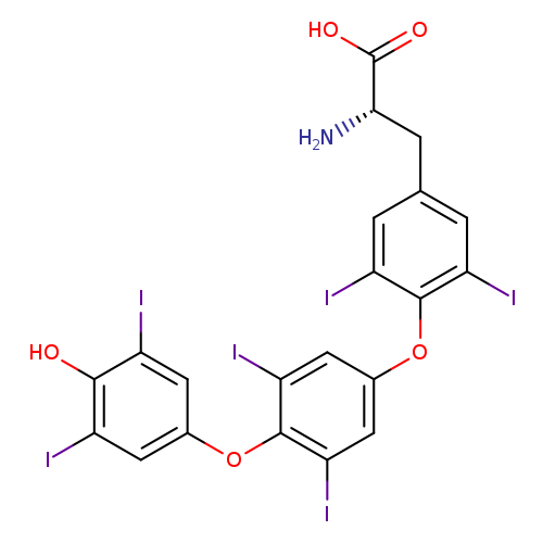 OC(=O)[C@H](Cc1cc(I)c(c(c1)I)Oc1cc(I)c(c(c1)I)Oc1cc(I)c(c(c1)I)O)N