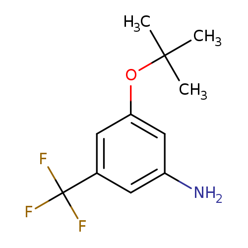 Nc1cc(cc(c1)C(F)(F)F)OC(C)(C)C