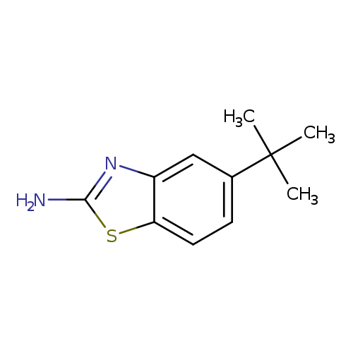 Nc1sc2c(n1)cc(cc2)C(C)(C)C