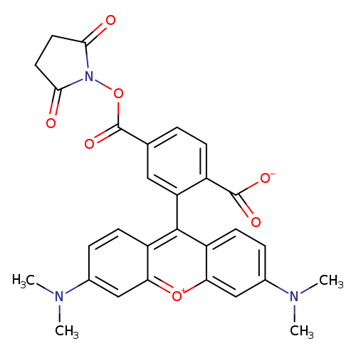 O=C1CCC(=O)N1OC(=O)c1ccc(c(c1)c1c2ccc(cc2[o+]c2c1ccc(c2)N(C)C)N(C)C)C(=O)[O-]
