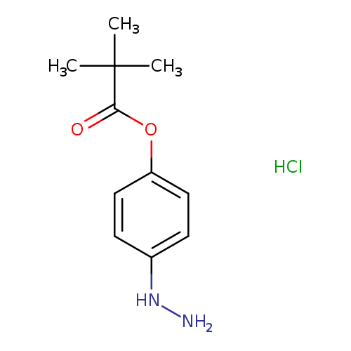 NNc1ccc(cc1)OC(=O)C(C)(C)C.Cl