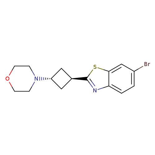 Brc1ccc2c(c1)sc(n2)[C@@H]1C[C@H](C1)N1CCOCC1