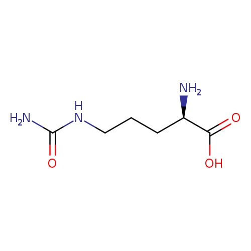 NC(=O)NCCC[C@H](C(=O)O)N