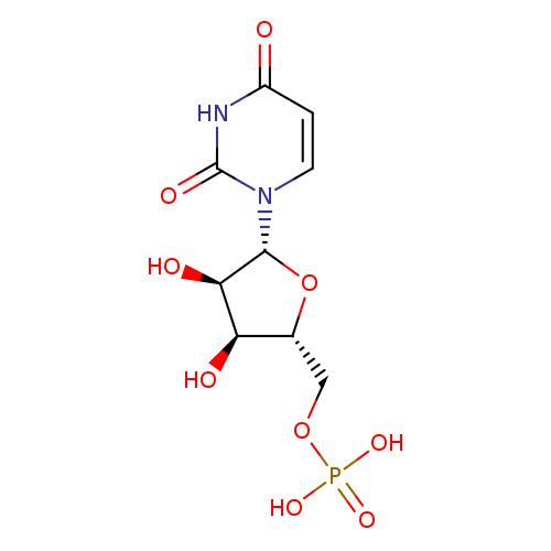 O[C@@H]1[C@H](O)[C@H](O[C@H]1n1ccc(=O)[nH]c1=O)COP(=O)(O)O