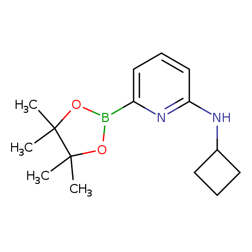 CC1(C)OB(OC1(C)C)c1cccc(n1)NC1CCC1