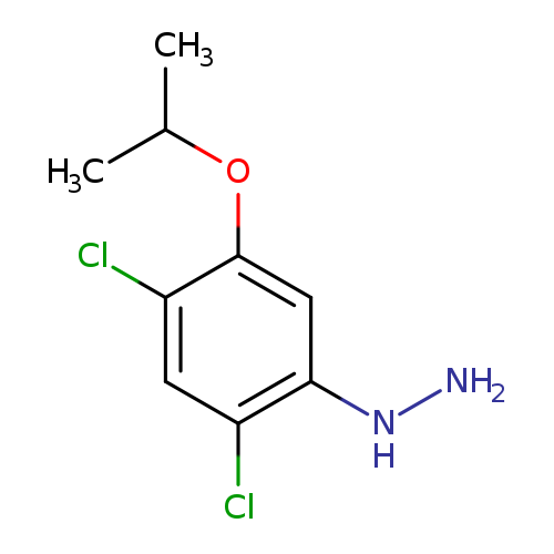 NNc1cc(OC(C)C)c(cc1Cl)Cl