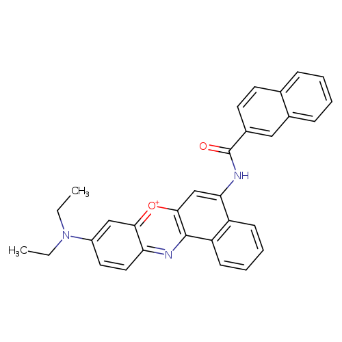 CCN(c1ccc2c(c1)[o+]c1c(n2)c2ccccc2c(c1)NC(=O)c1ccc2c(c1)cccc2)CC