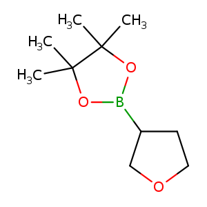 CC1(C)OB(OC1(C)C)C1COCC1