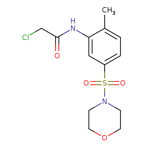 ClCC(=O)Nc1cc(ccc1C)S(=O)(=O)N1CCOCC1