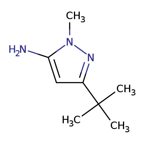 Cn1nc(cc1N)C(C)(C)C