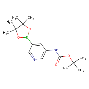 O=C(OC(C)(C)C)Nc1cncc(c1)B1OC(C(O1)(C)C)(C)C
