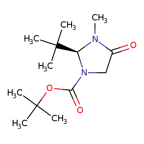 O=C(N1CC(=O)N([C@@H]1C(C)(C)C)C)OC(C)(C)C